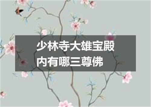 少林寺大雄宝殿内有哪三尊佛