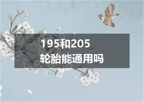 195和205轮胎能通用吗