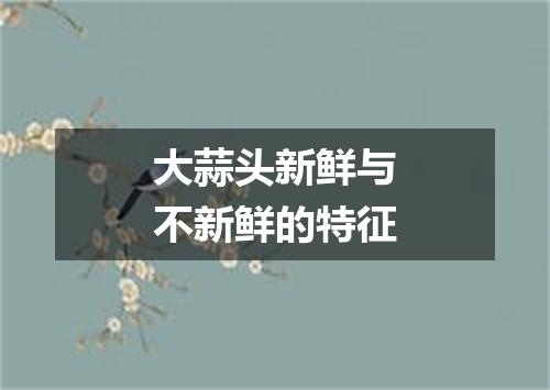 大蒜头新鲜与不新鲜的特征