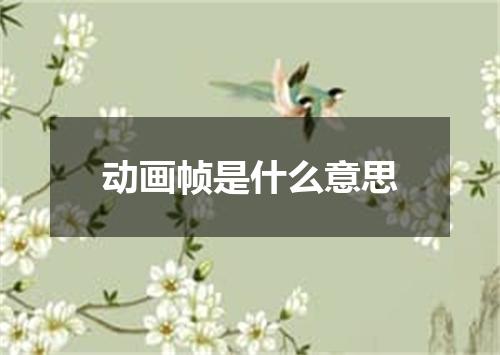动画帧是什么意思