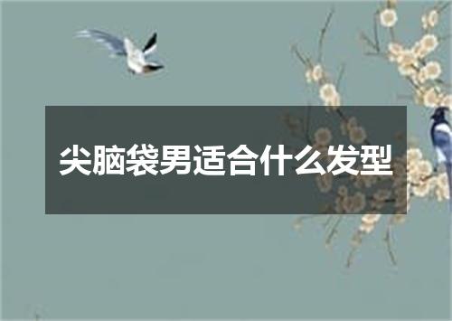 尖脑袋男适合什么发型