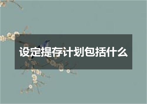 设定提存计划包括什么