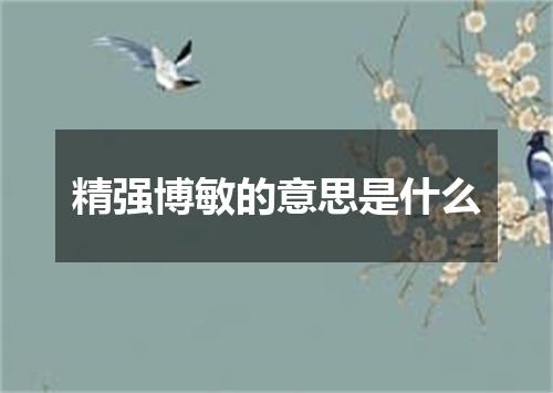 精强博敏的意思是什么