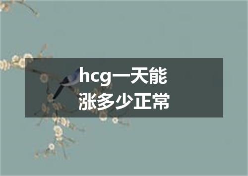 hcg一天能涨多少正常