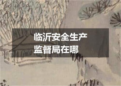 临沂安全生产监督局在哪