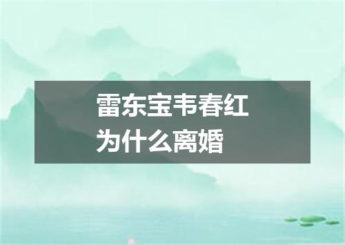 雷东宝韦春红为什么离婚
