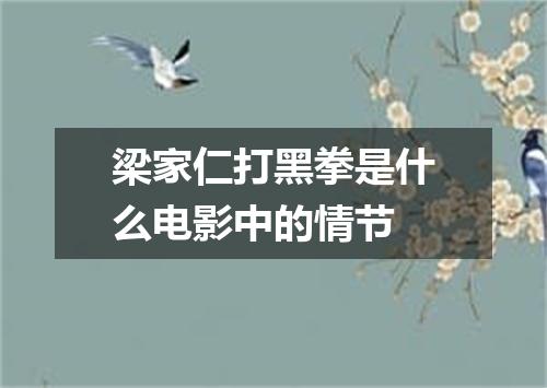 梁家仁打黑拳是什么电影中的情节