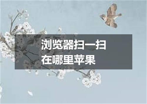 浏览器扫一扫在哪里苹果