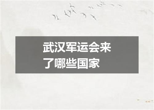 武汉军运会来了哪些国家