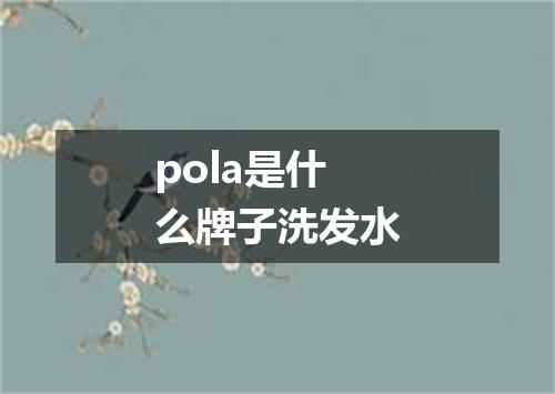 pola是什么牌子洗发水