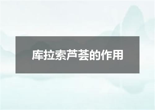 库拉索芦荟的作用
