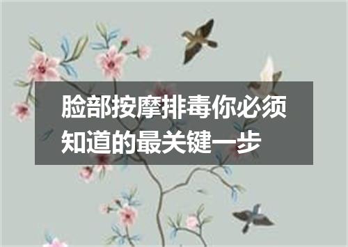 脸部按摩排毒你必须知道的最关键一步