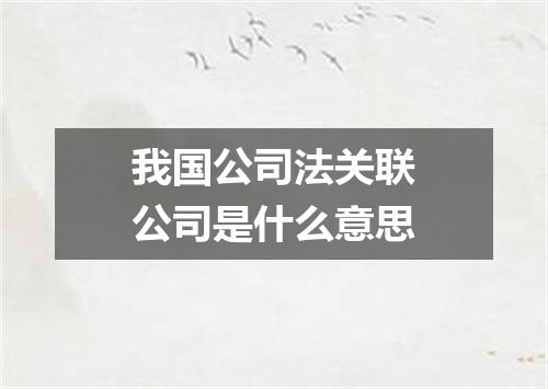 我国公司法关联公司是什么意思