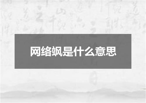 网络飒是什么意思