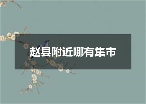 赵县附近哪有集市