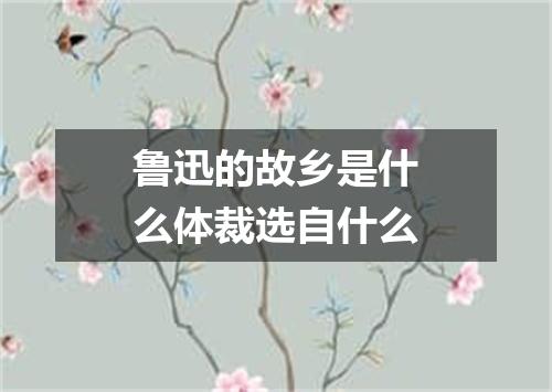 鲁迅的故乡是什么体裁选自什么