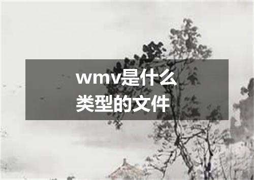 wmv是什么类型的文件