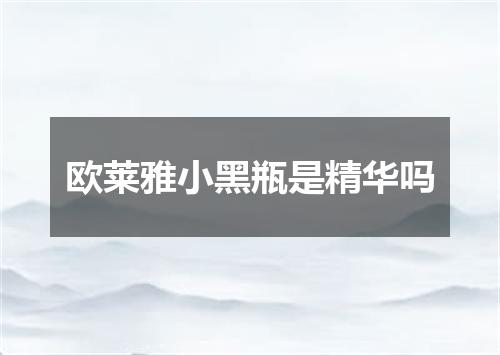 欧莱雅小黑瓶是精华吗