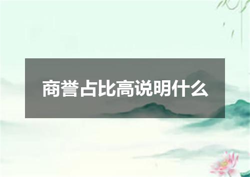 商誉占比高说明什么