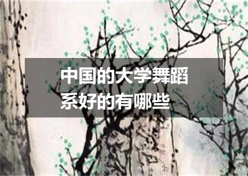 中国的大学舞蹈系好的有哪些