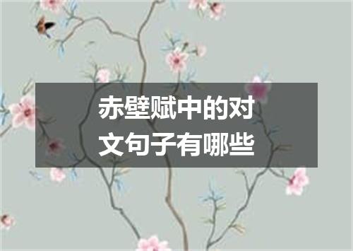 赤壁赋中的对文句子有哪些