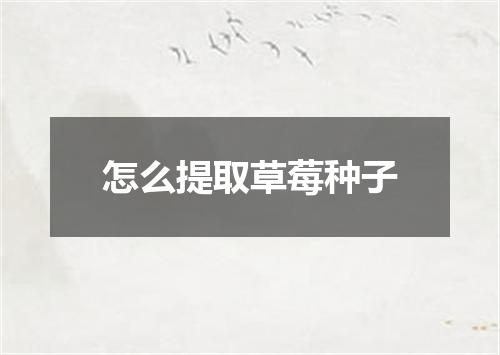 怎么提取草莓种子