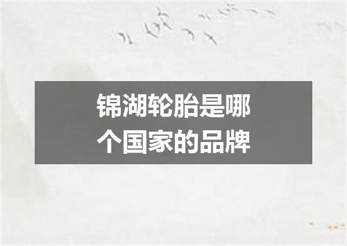 锦湖轮胎是哪个国家的品牌