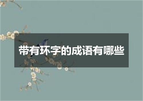 带有环字的成语有哪些