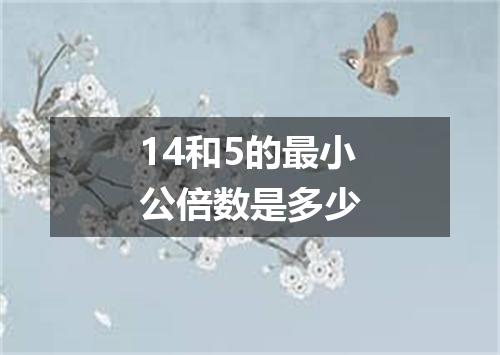 14和5的最小公倍数是多少