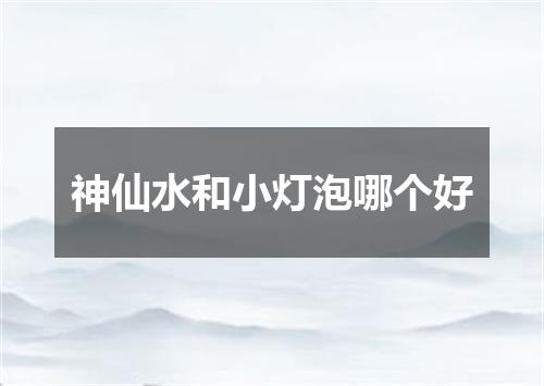 神仙水和小灯泡哪个好