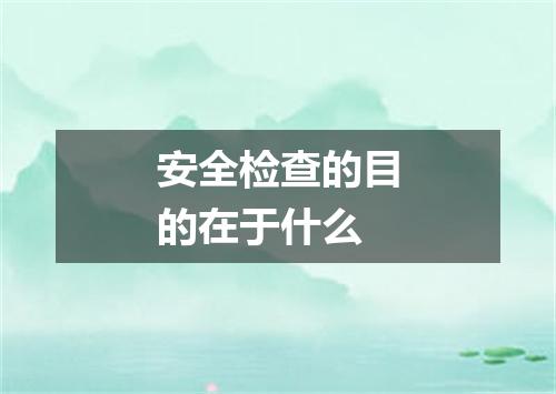 安全检查的目的在于什么