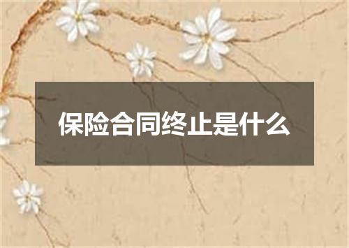 保险合同终止是什么