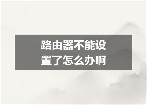路由器不能设置了怎么办啊