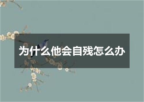 为什么他会自残怎么办
