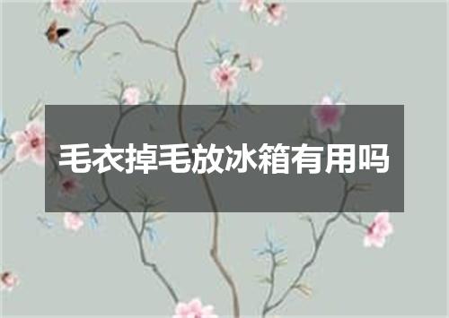 毛衣掉毛放冰箱有用吗