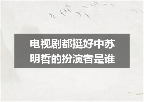 电视剧都挺好中苏明哲的扮演者是谁