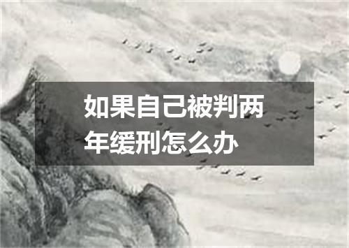 如果自己被判两年缓刑怎么办