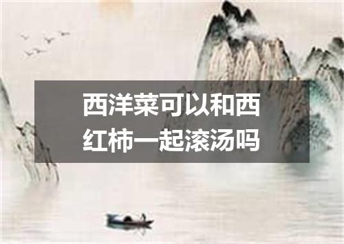 西洋菜可以和西红柿一起滚汤吗