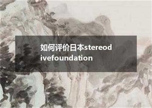如何评价日本stereodivefoundation