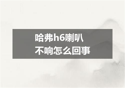 哈弗h6喇叭不响怎么回事