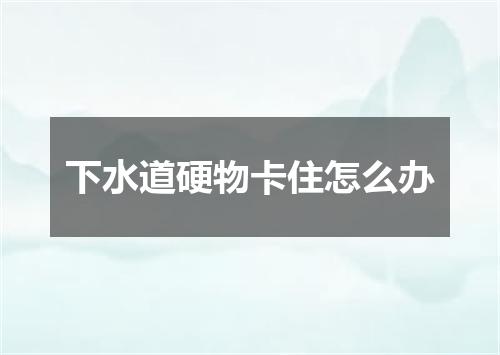 下水道硬物卡住怎么办