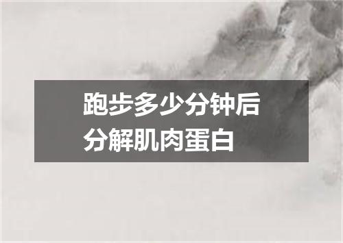跑步多少分钟后分解肌肉蛋白