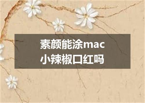 素颜能涂mac小辣椒口红吗