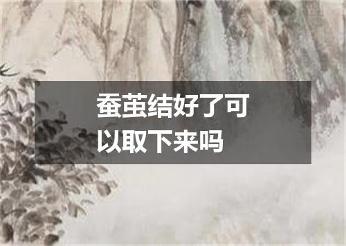 蚕茧结好了可以取下来吗