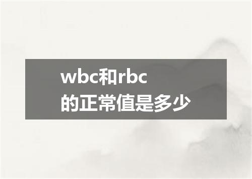 wbc和rbc的正常值是多少
