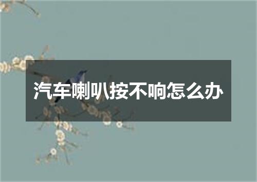 汽车喇叭按不响怎么办