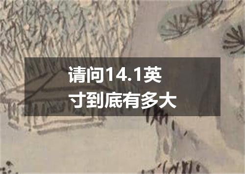 请问14.1英寸到底有多大