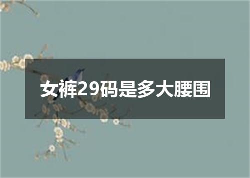 女裤29码是多大腰围