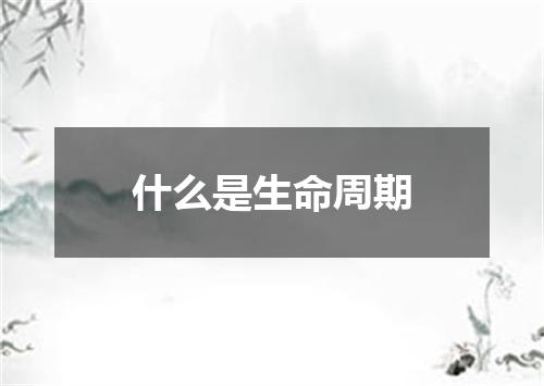 什么是生命周期