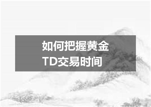 如何把握黄金TD交易时间